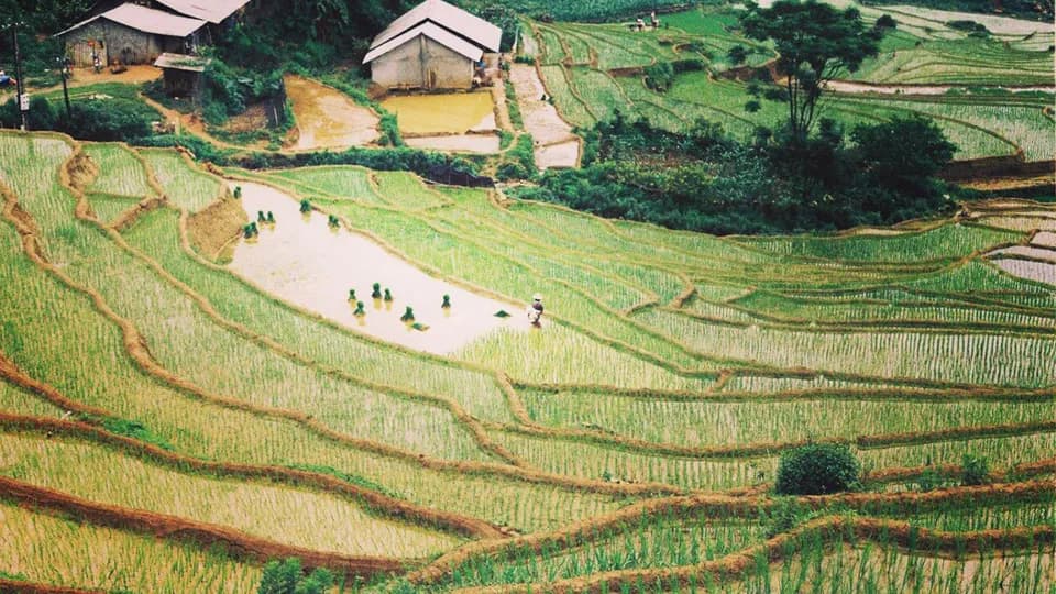 Ngồi “Thuyền Mây” ngắm mạ lên non