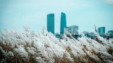 Là Đà Nẵng, là ấm áp yêu thương