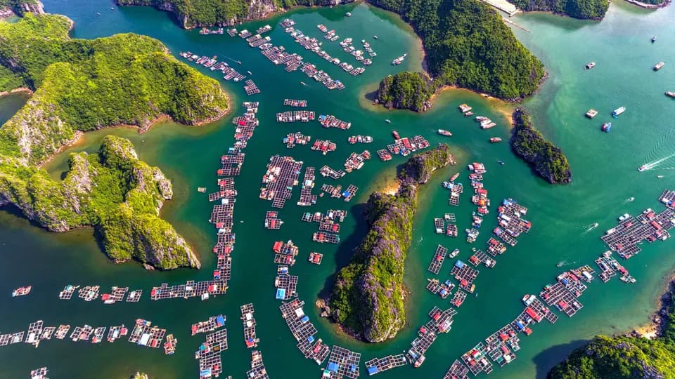Du lịch Việt Nam quyết tâm đạt mốc 18 triệu lượt khách quốc tế năm 2019