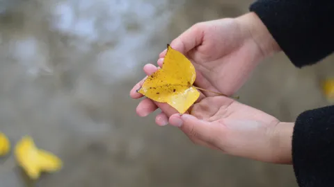 Đi tìm mưa Cố Đô giữa lòng Sài Gòn những chiều ướt trũng