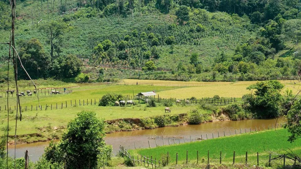 Măng Đen – “Nàng thơ" đang say giấc nồng giữa đại ngàn Tây Nguyên