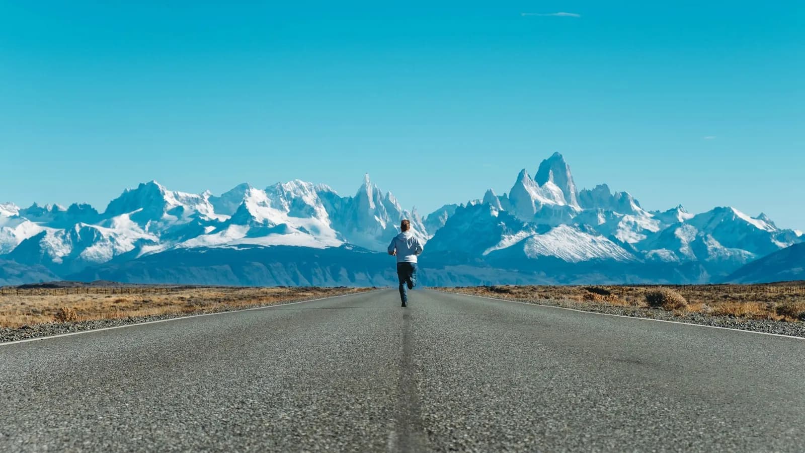 "Tôi nói gì khi nói về chạy bộ": Hơn cả những cung đường marathon 