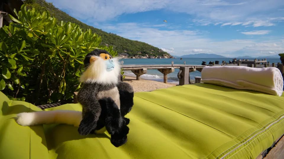 Six Senses Ninh Van Bay lần đầu chào đón chuyên gia đa dạng sinh học 