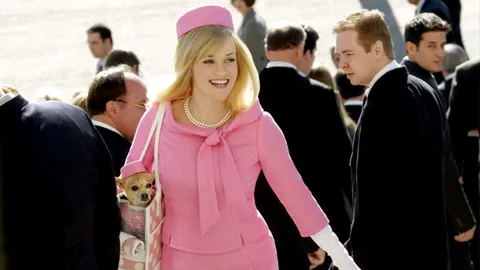 Legally Blonde: Khi tóc vàng vẫn có thể là một luật sư xuất sắc