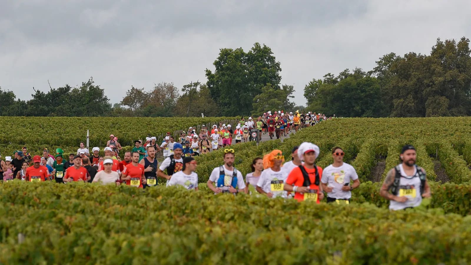 Marathon du Medoc: Giải chạy làm bạn từ “no bụng” đến “say mèm”