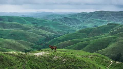 Ngắm nhìn Sumba - “Viên ngọc thô” của Indonesia qua ống kính Linh Nguyễn